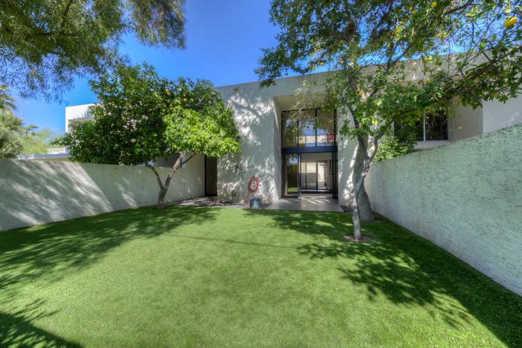 This is another shot of the new backyard.