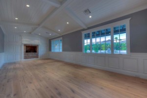 SRJ Developlment Phoenix Interior Fireplace