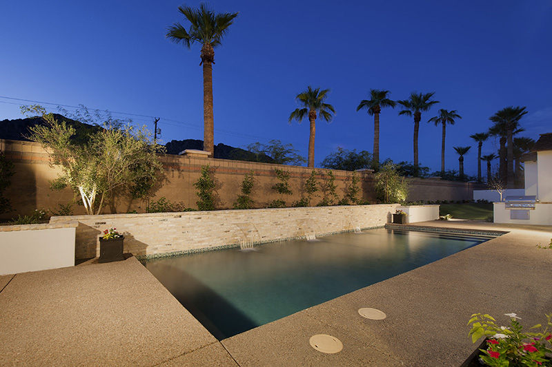 56_Palms_Backyard